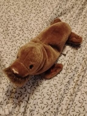 Ty Paul The Walrus Beenie Baby